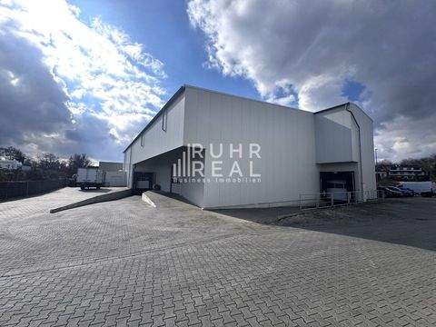 Gelsenkirchen Halle, Gelsenkirchen Hallenfläche