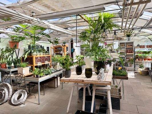 Ausstellungsfläche