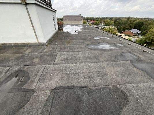 Dachfläche - Hauptgebäude -1