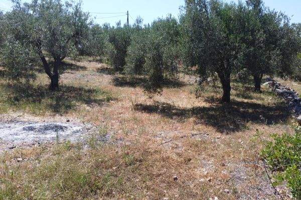 Kreta, Kalathas: Grundstück mit Meerblick in der Nähe des Strandes zu verkaufen