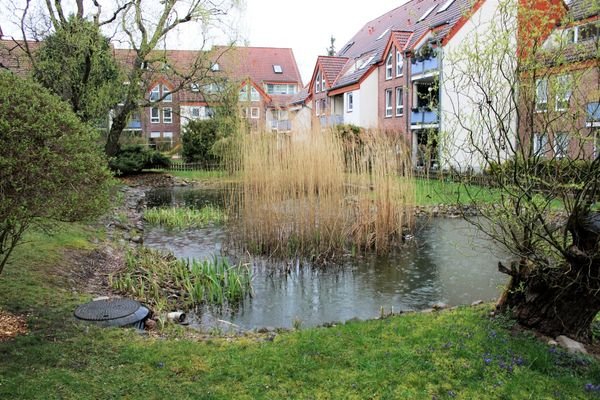 Teich im Innenhof