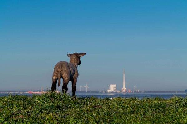 Blick über den Deich