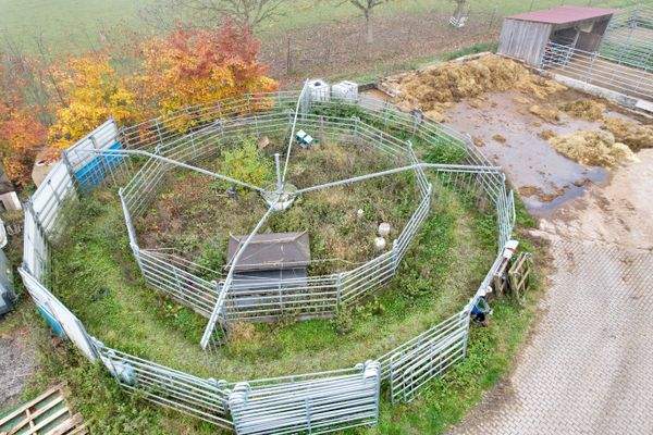 dji_fly_20251106_123614_390_1762430286574_photo.jp