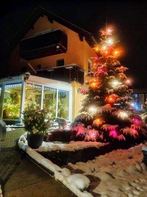 Wintergarten im Advent