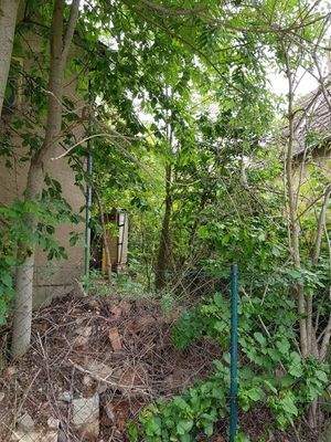 Grundstück verwildert