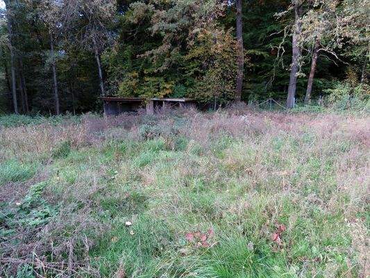 Offenstall am Waldrand