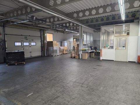 Frankenthal Halle, Frankenthal Hallenfläche