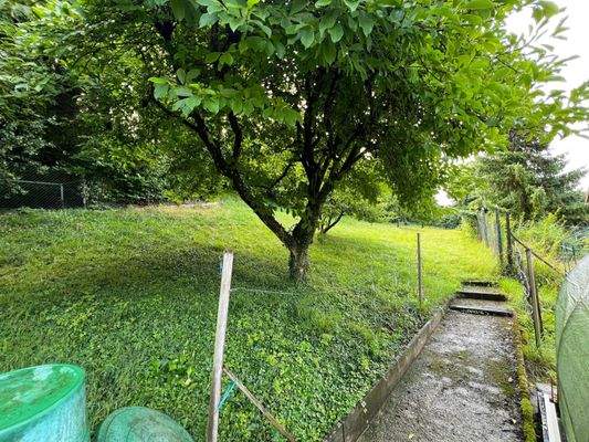 riesiges Grundstück