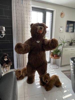 Hier bin ich Zuhause