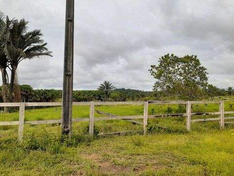 Presidente Figueiredo Grundstücke, Presidente Figueiredo Grundstück kaufen