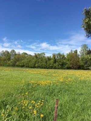 Blick über Felder und Wiesen