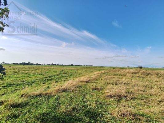 WhatsApp Image 2024-12-09 at 10.25.25