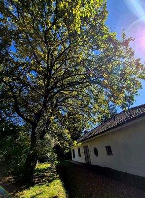 Teilansicht Grundstück