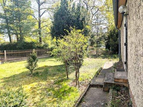 Burgkemnitz Häuser, Burgkemnitz Haus kaufen