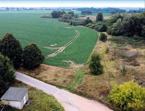 Tutow Bauernhöfe, Landwirtschaft, Tutow Forstwirtschaft