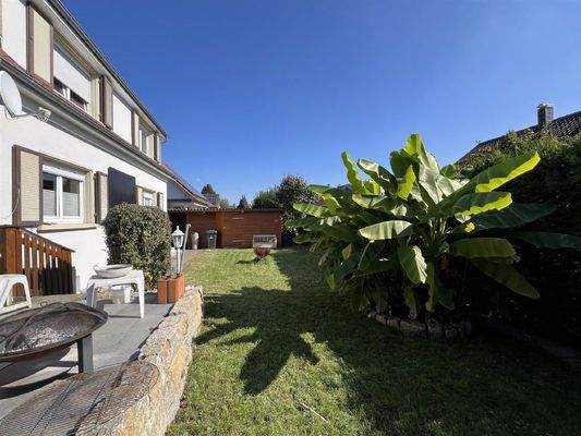 Garten mit Bananenstaude