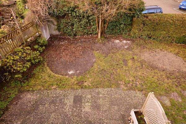 Blick in den Gartenbereich