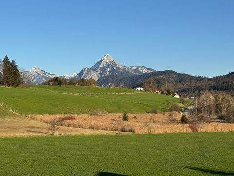 Füssen / Weißensee Wohnungen, Füssen / Weißensee Wohnung kaufen