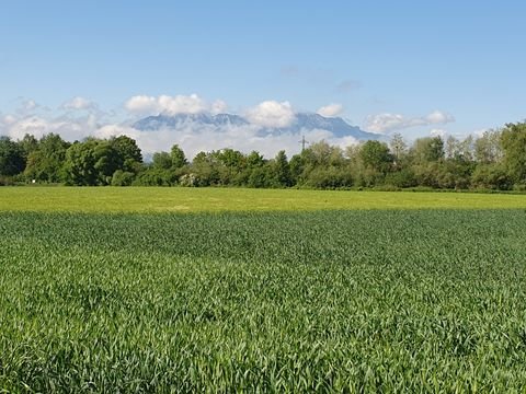 Saaldorf-Surheim / Obersurheim Häuser, Saaldorf-Surheim / Obersurheim Haus kaufen