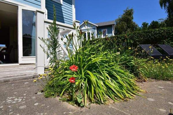 Freistehendes-Ferienhaus-auf-Cape-Helius-Hellevoetsluis015