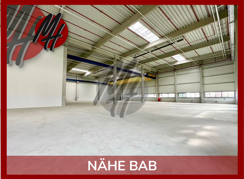 Hanau Halle, Hanau Hallenfläche