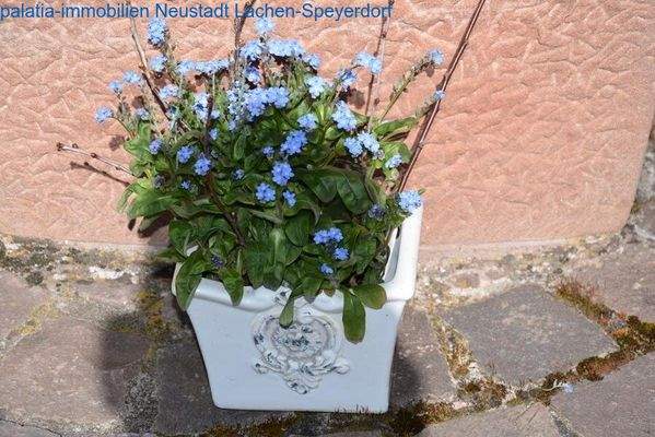 Bild 68