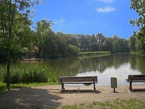 31190831-Blick auf den hinter 