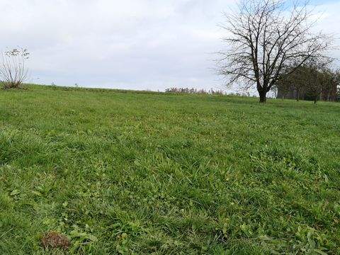 Pentling Häuser, Pentling Haus kaufen