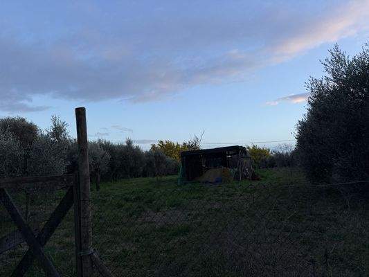 Grundstück-Follonica-4001-01