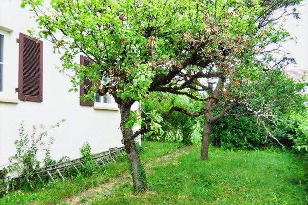 Ansicht von Südosten