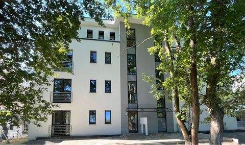 Bad Sassendorf Wohnungen, Bad Sassendorf Wohnung mieten