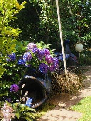 Eingewachsener Garten 