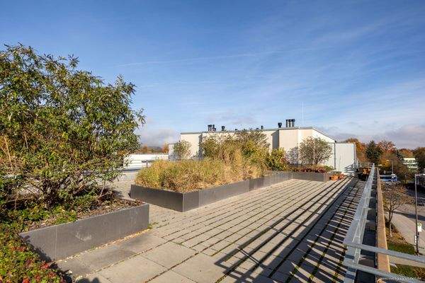 Sonnige Gemeinschaftsdachterrasse