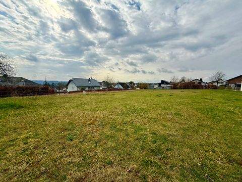 Daleiden Grundstücke, Daleiden Grundstück kaufen