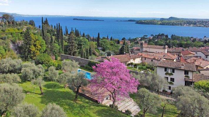 dji_fly_20240416_163900_109_1713278349361_photo_op