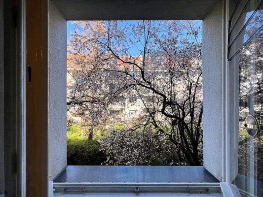 Beispielbild Ausblick aus der Küche