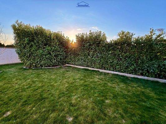 Garten mit Kirschlorbeerhecke