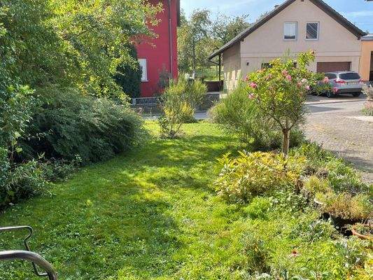 PHOTO-2026-03-17-15-14-17 (1).jpg