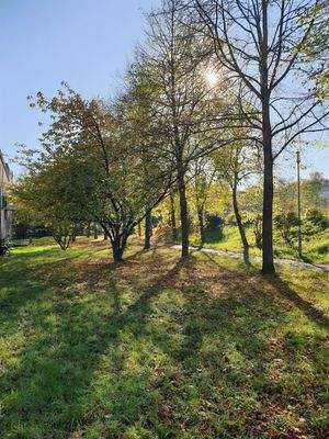 Kleiner Fussweg zu den Aussenstellplätzen