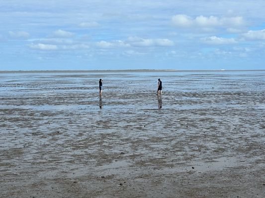 Wattenmeer.jpg