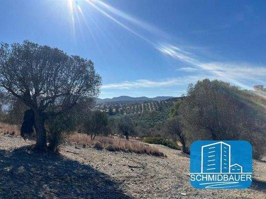 Kreta, Pitsidia: Grundstück mit Baugenehmigung für drei Luxusvillen zu verkaufen