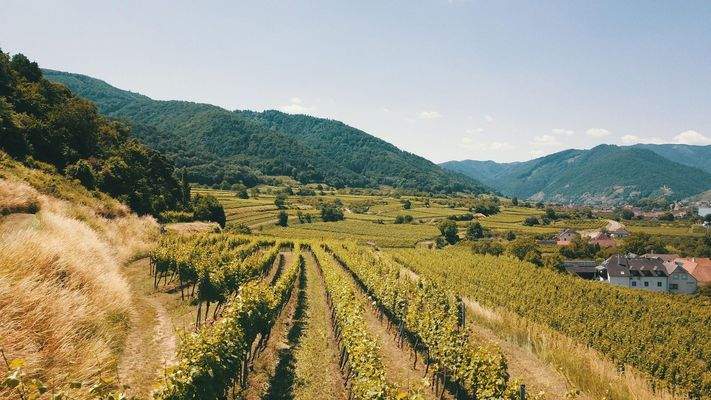 Blick Richtung Westen