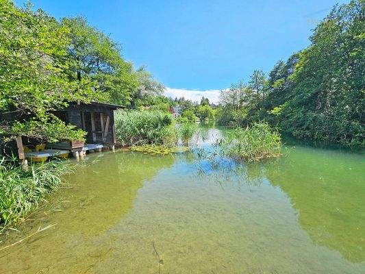 Impressionen Seebach