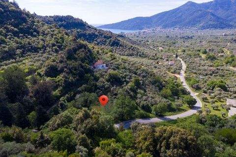 Thassos, Chrysi Ammoudia Grundstücke, Thassos, Chrysi Ammoudia Grundstück kaufen
