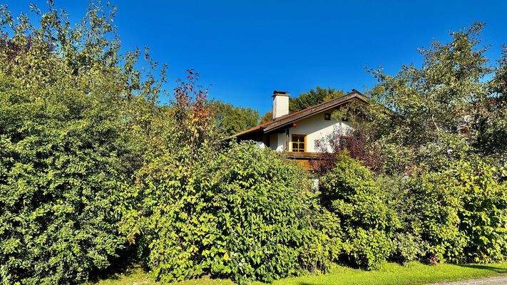 Blich von Strassenseite Ost