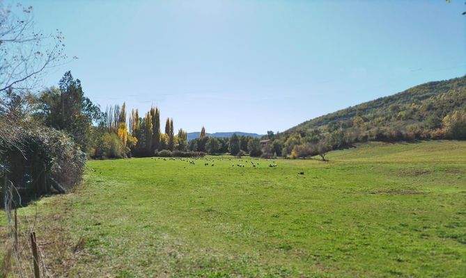 Imagen de WhatsApp 2025-06-20 a las 20.57.47_a4c4b