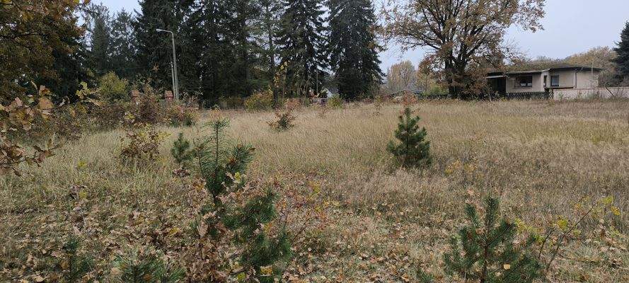 Blick auf das Grundstück