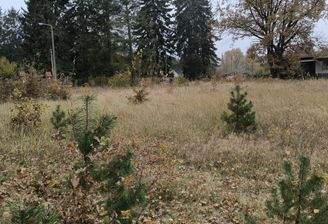 Blick auf das Grundstück