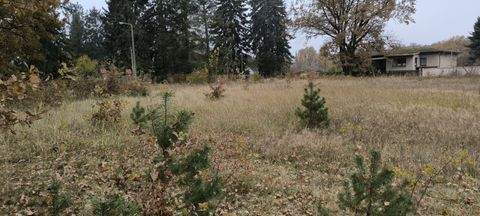 Heidesee OT Wolzig Grundstücke, Heidesee OT Wolzig Grundstück kaufen