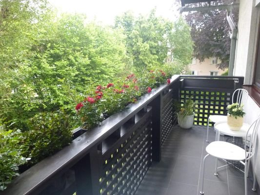 Blick ins Grüne vom Balkon.jpg